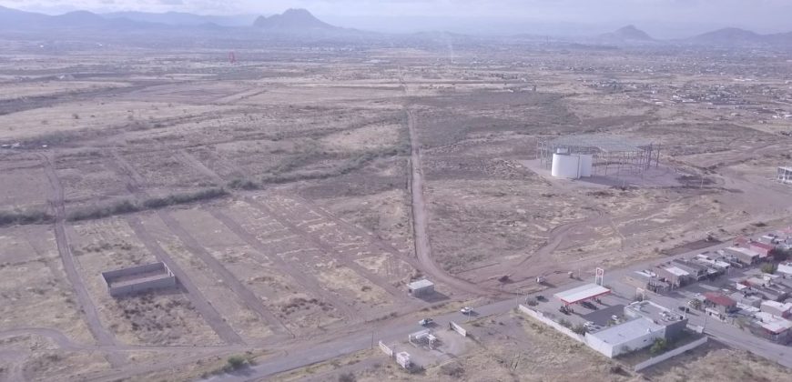 Valles de la Basílica