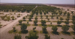 Rancho Nogalero Camargo, Chih.