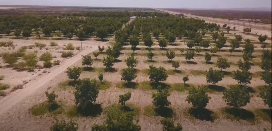 Rancho Nogalero Camargo, Chih.